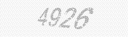 Visual security code — type the characters shown in the image